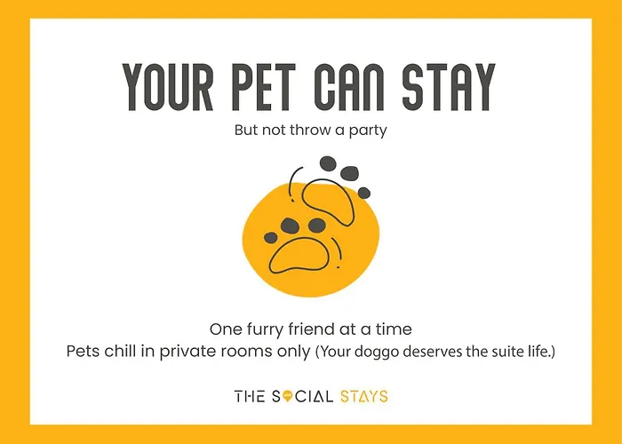 The Social Stays Dehradun
